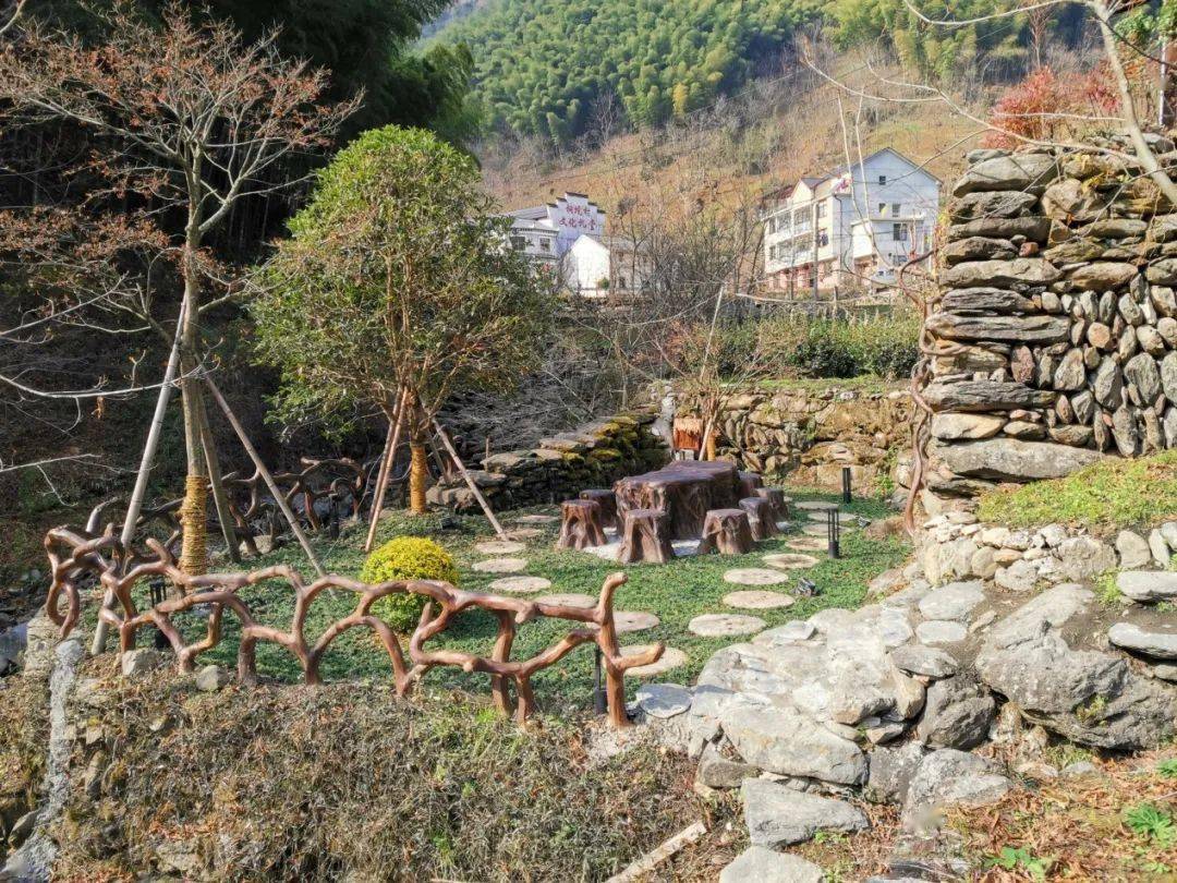 临安区新时代美丽乡村建设成果展(一)——湍口镇桐坑村