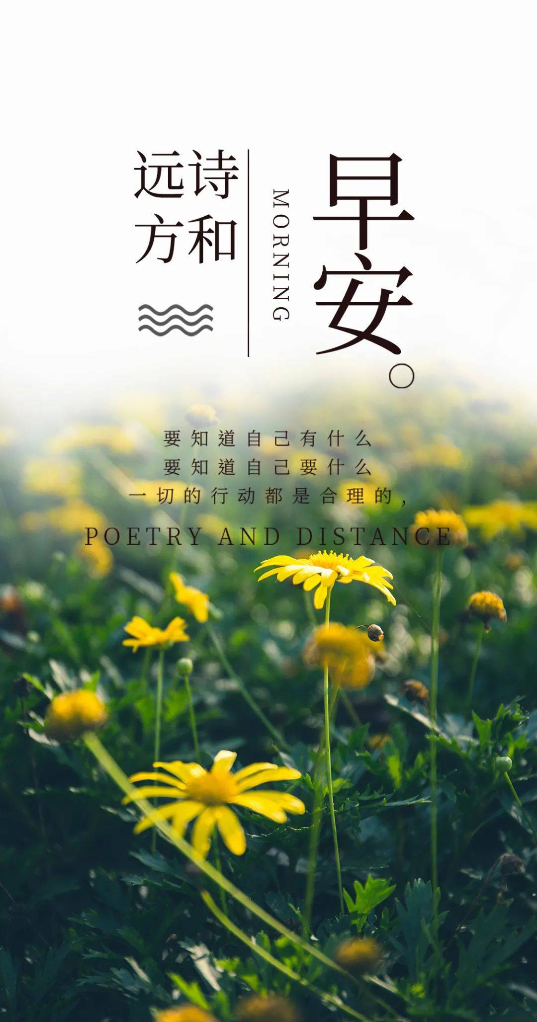 朋友圈正能量满满的阳光语录分享 特别走心的正能量说说