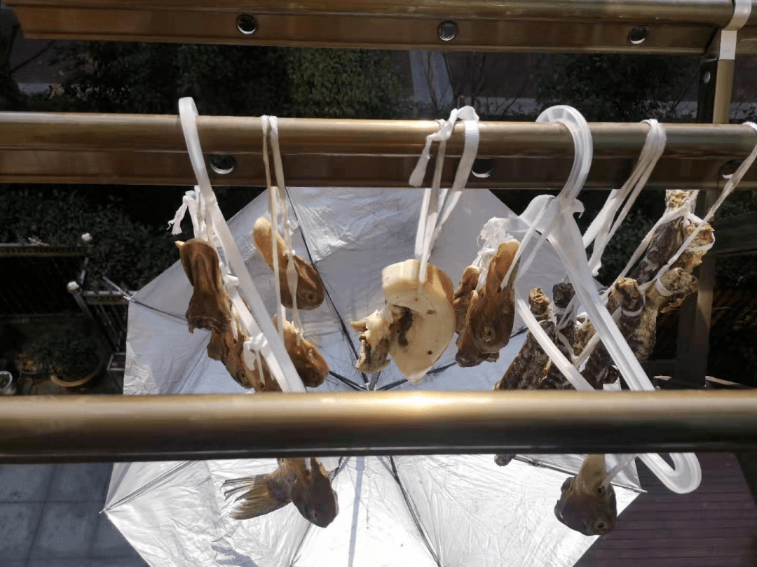 余杭一居民楼大晴天撑满雨伞原来藏着这样的秘密