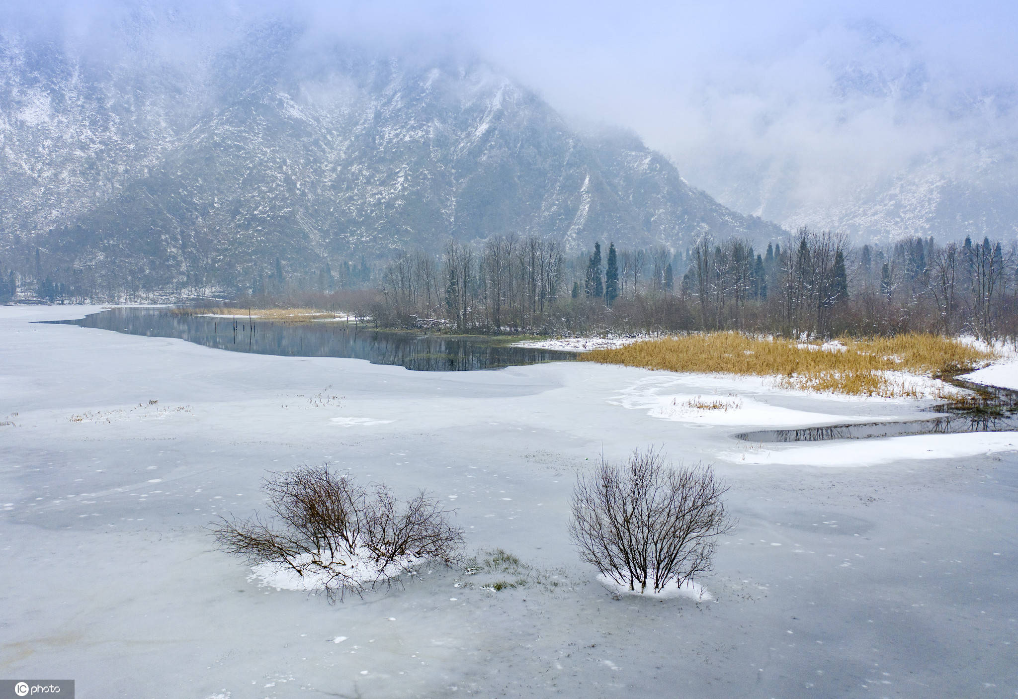 四川都江堰:龙池国家森林公园云雾缭绕 白雪皑皑