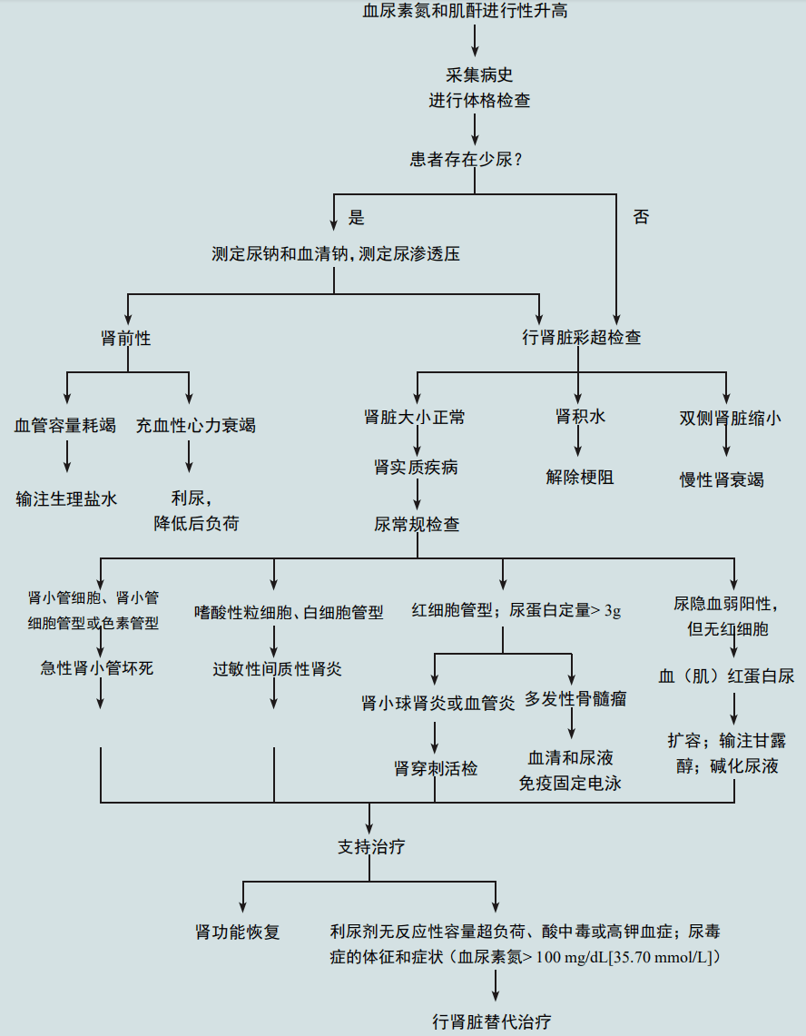 急性肾衰竭思维导图图片