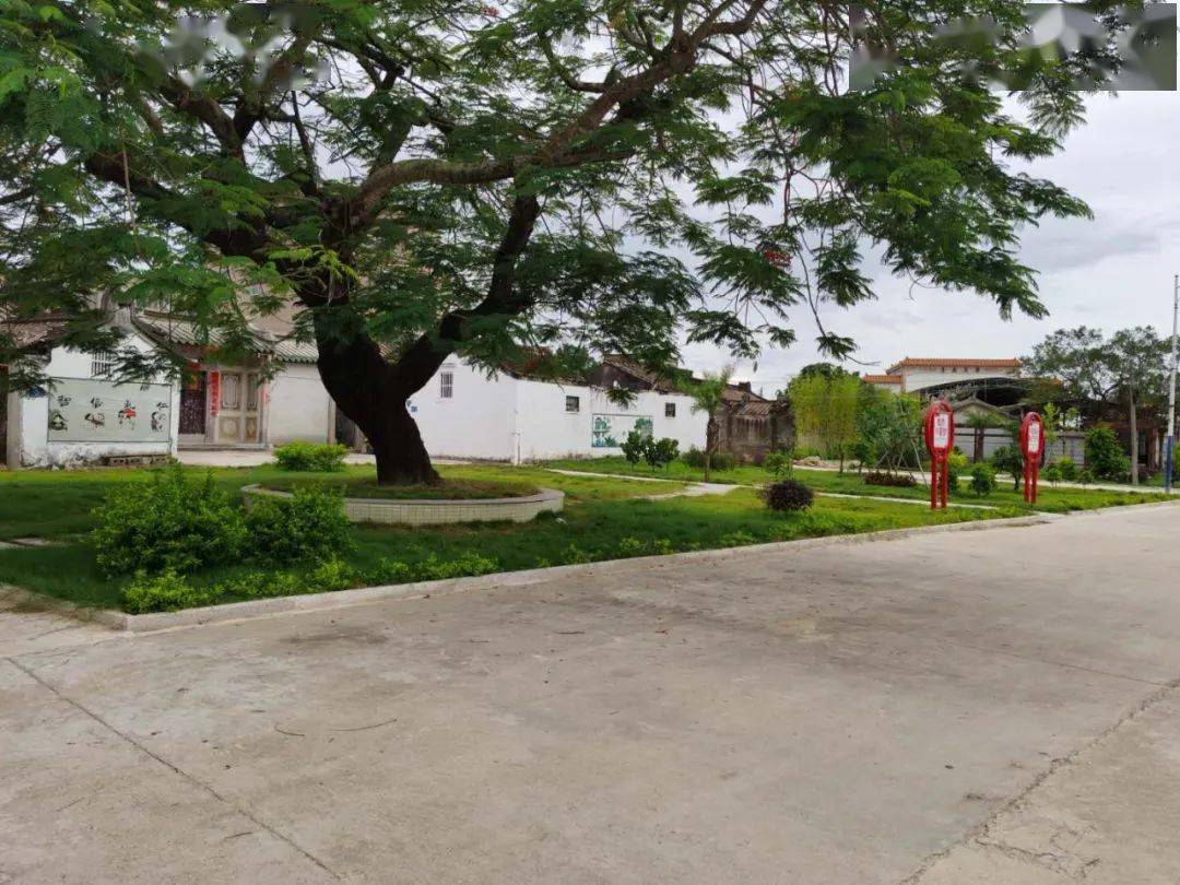 【美丽乡村】东陇镇华吴村:乡村美如画 处处皆成景