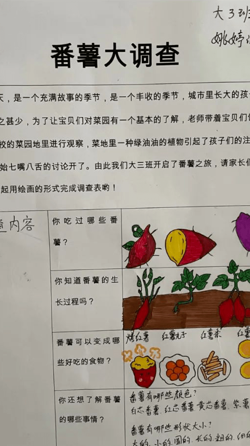 幼儿园土豆调查表图片