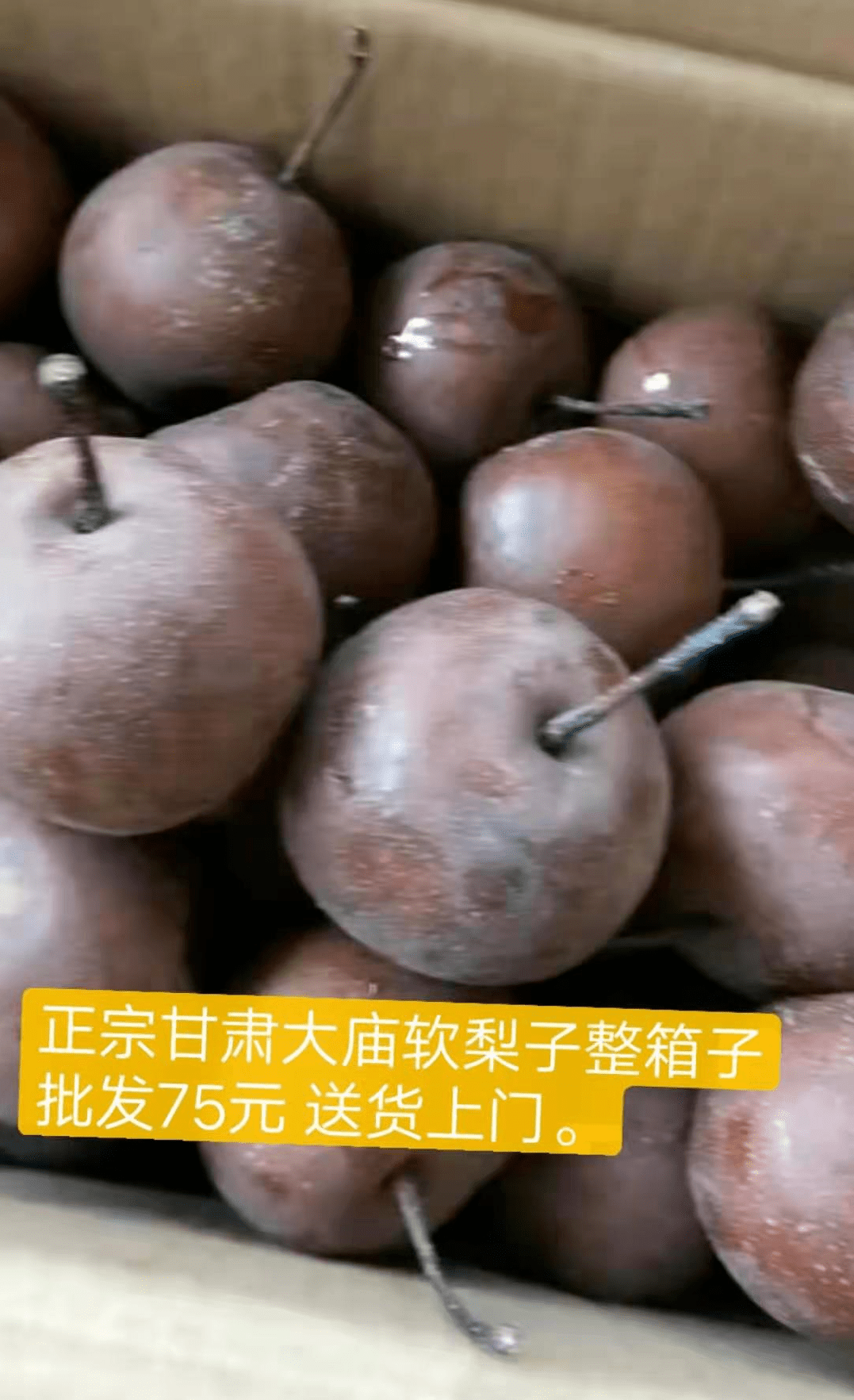 中卫人过冬必备:软梨子预售中,物美价惠送货上门