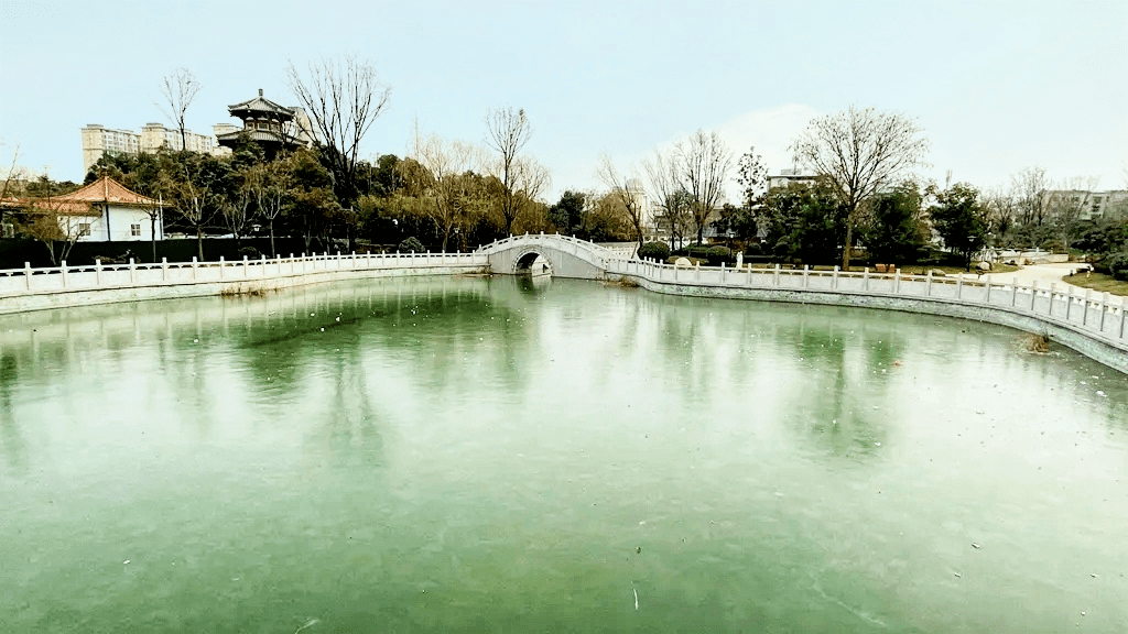 冬日美景冰封的泾干湖……美美美_泾阳