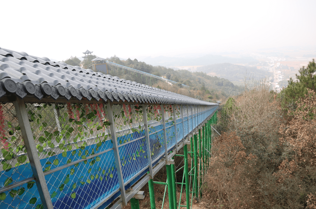 抚州新晋网红打卡地—灵谷峰,你还没去打卡吗?