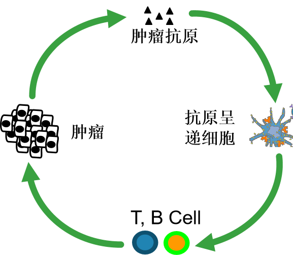 免疫检查点抑制剂是免疫治疗的一种,那还