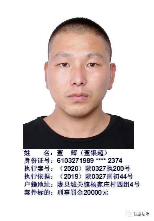 甘肃陇南礼县刑事案件图片