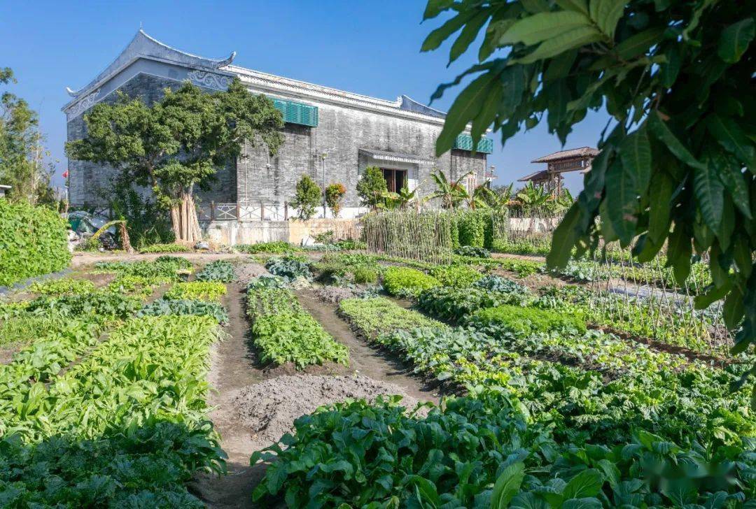 点赞都斛镇莘村颜值大提升村民幸福感满满