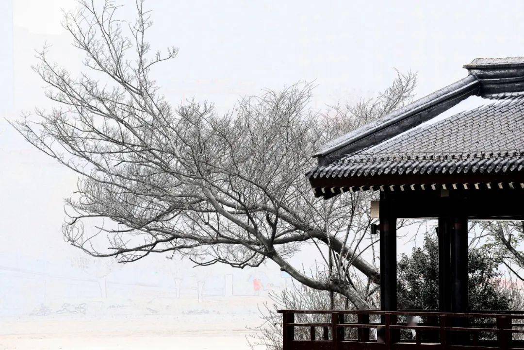 桃花岛雪夜游
