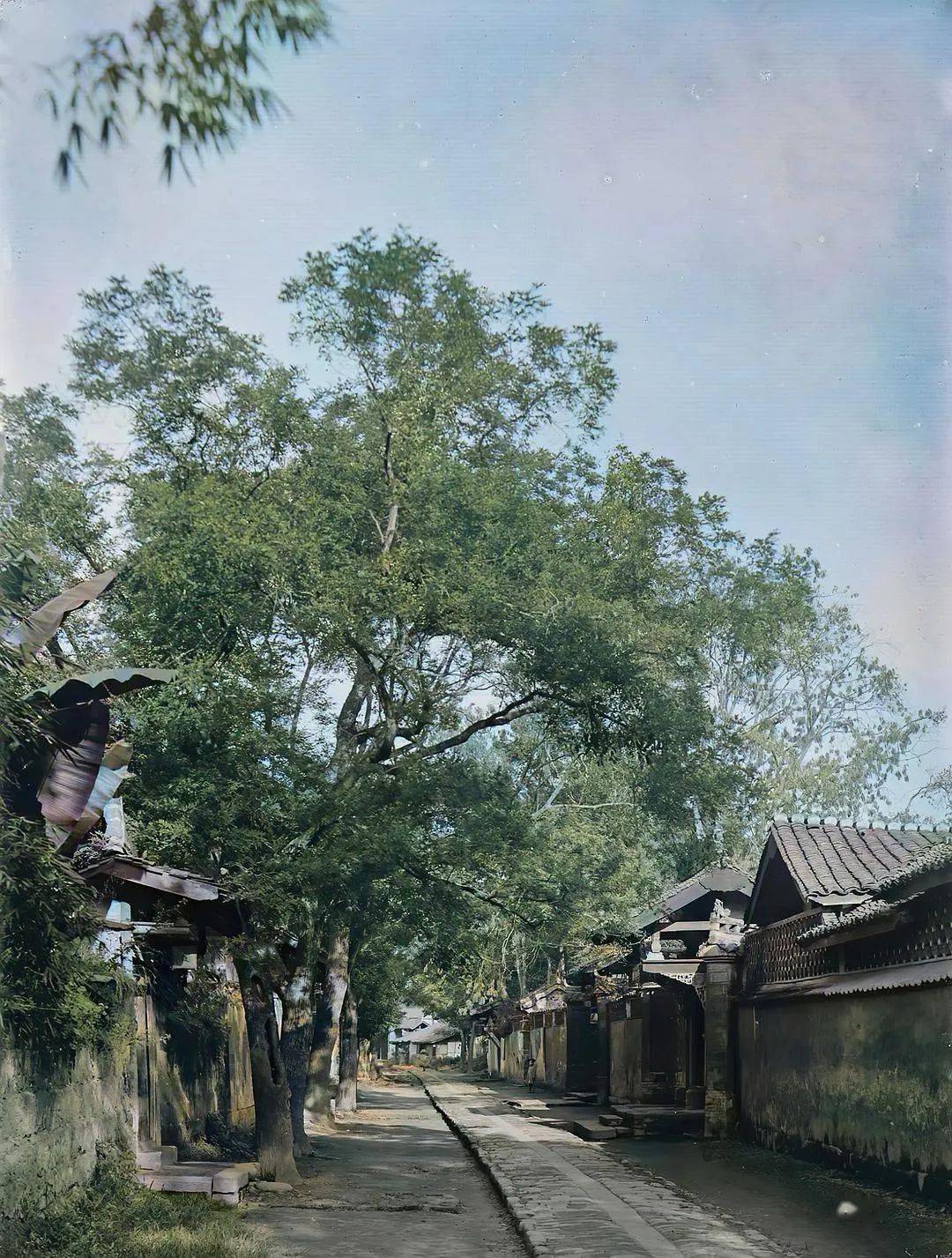 大城市里的高清老照片_三峡