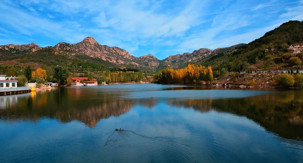 泗水县太平洋财险杯林长制主题摄影大赛结果出炉来看看这些大片