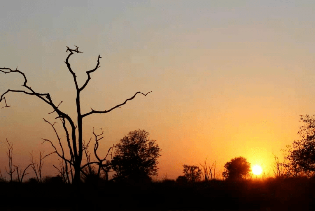 天亮美好的一天从清晨开始