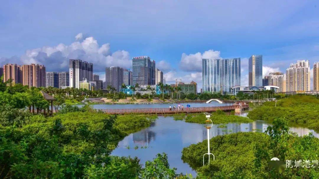 防城区高端网站建设_(防城区高端网站建设招标)