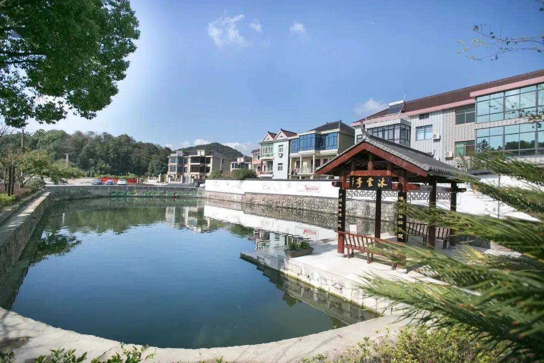 新谊村位于浦阳镇中轴,东有两江一条龙,西有双溪思荷塘,地理位置优越.