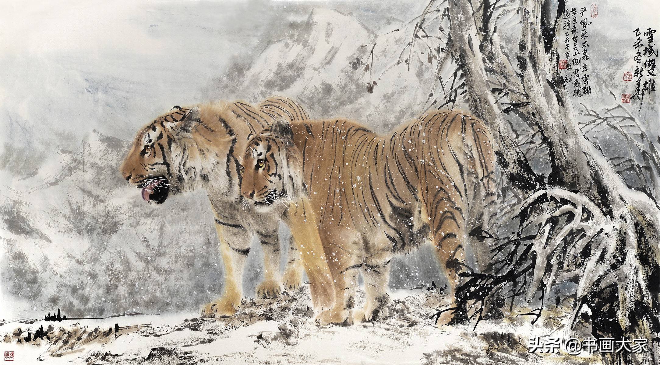 葛新华画虎,善面不失王者风范,柔和不失王者之威_名家