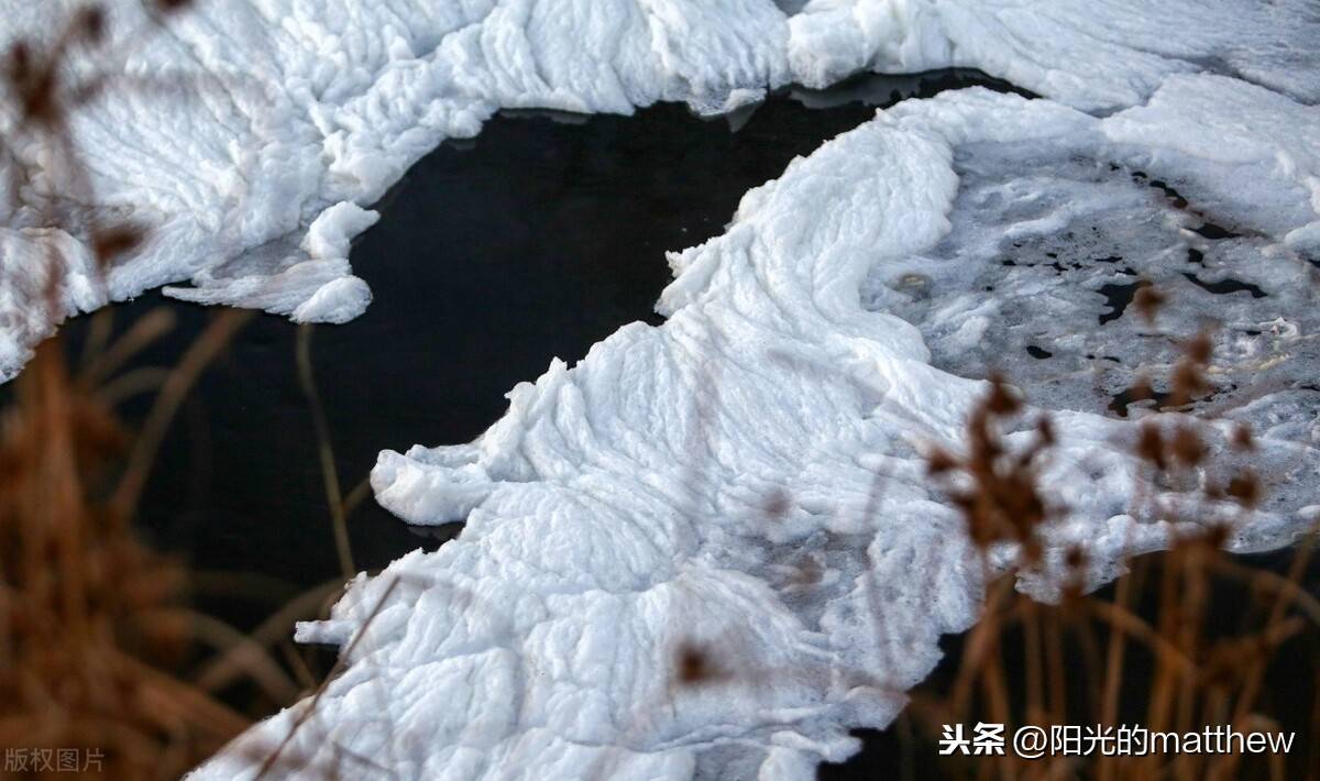 河北鸡泽:奇观!大风降温过后湿地湖泊出现"泡沫冰"奇景