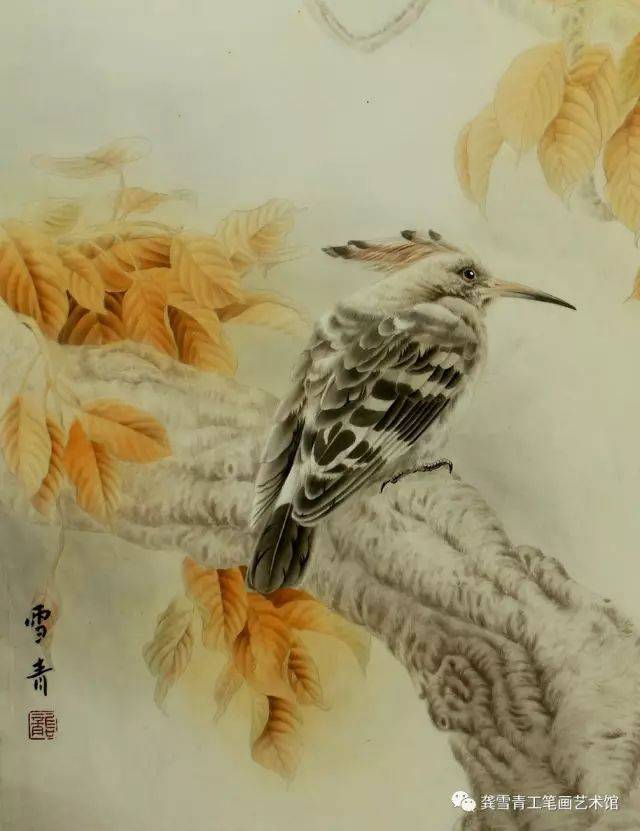 龚雪青工笔禽鸟图文解析戴胜鸟