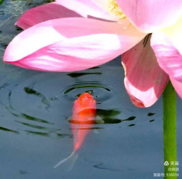 长城秋歌雪落有痕