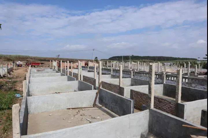一般农田可以建养殖场吗 一般农田可以建养殖场吗多少钱
