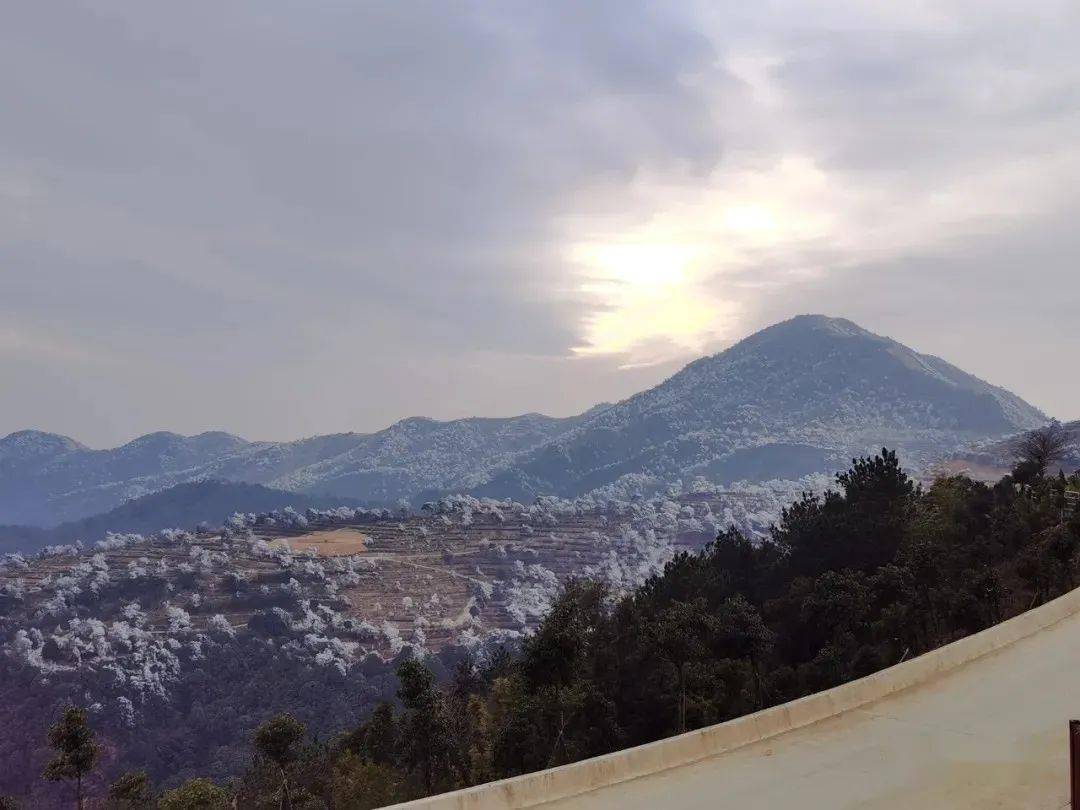 再上大芹山网友惊呼这才是冬天应有的样子