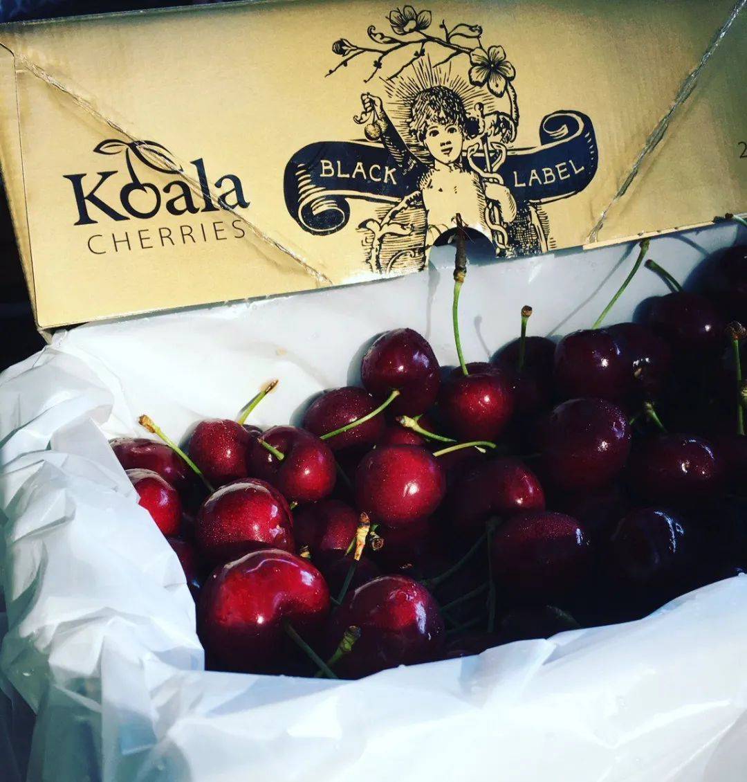 koala cherries是澳洲最大的樱桃生产商之一,位于维州的yarck小镇.