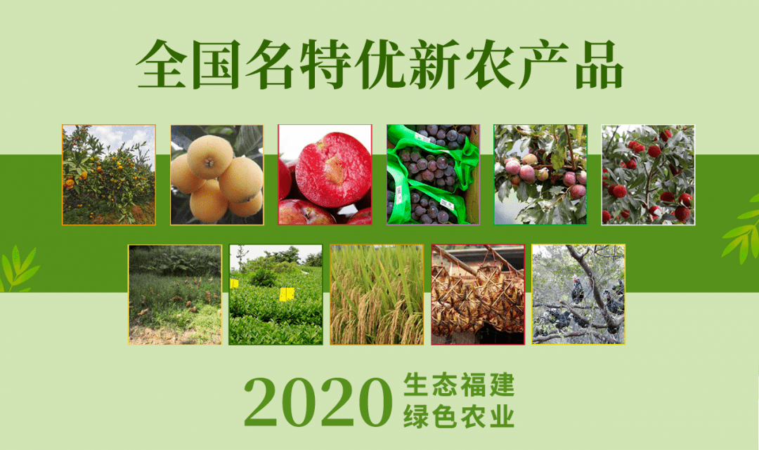 福建新增11个全国名特优新农产品要买农特产找他们就对了