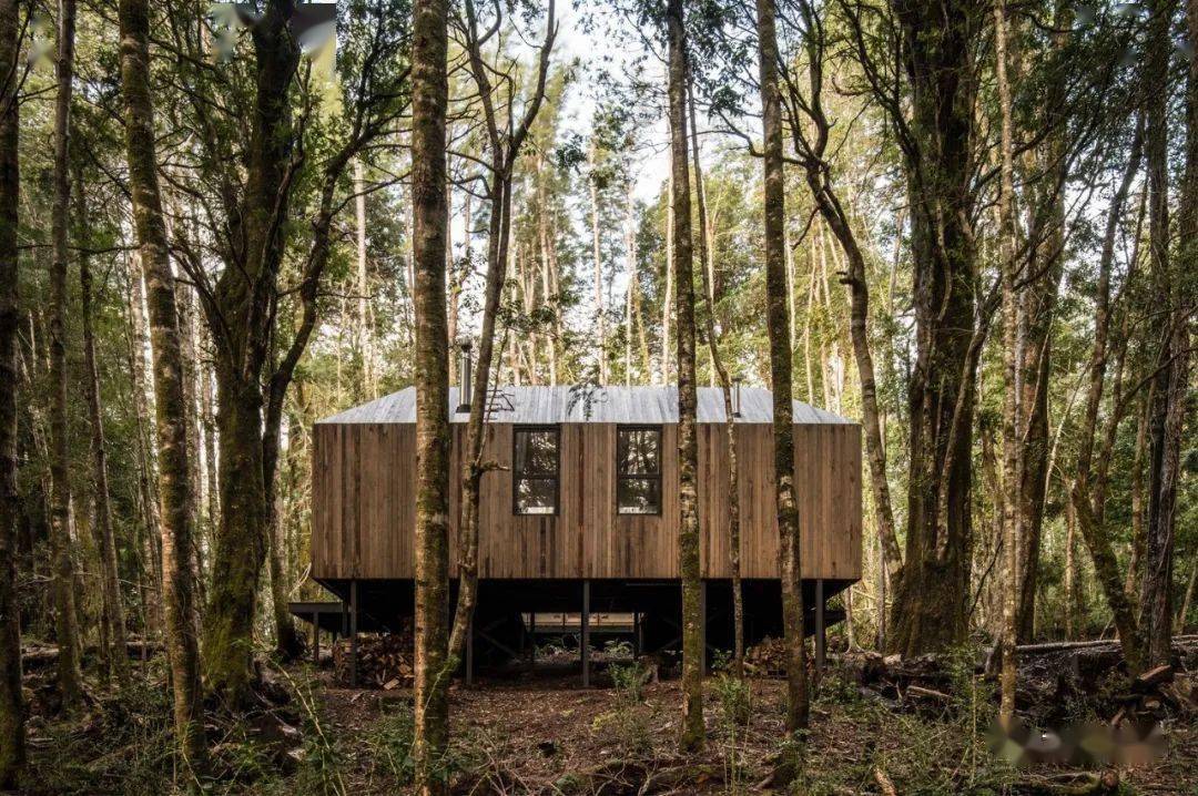 密林中的特别存在内向的回形木屋