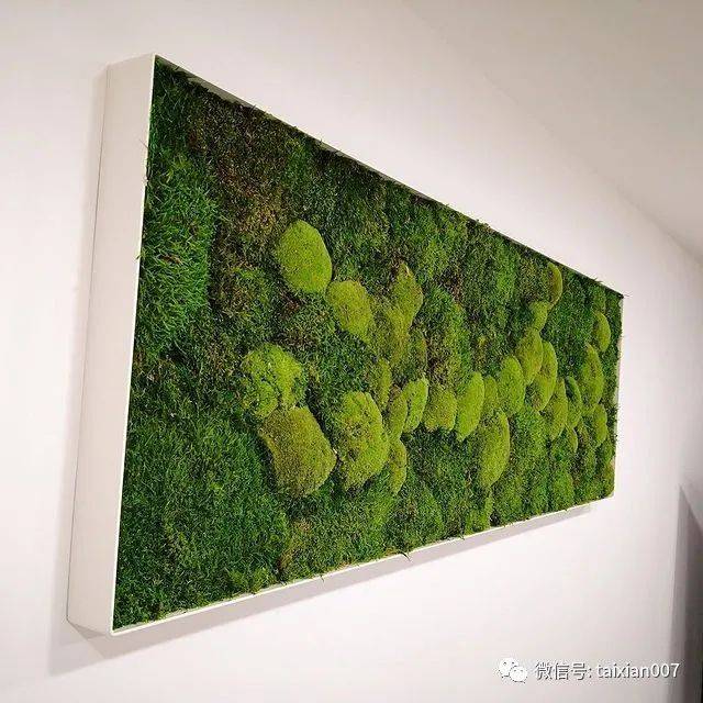 永生苔藓制作的植物墙非常适用于图书馆,餐厅,会客厅等公共场所.