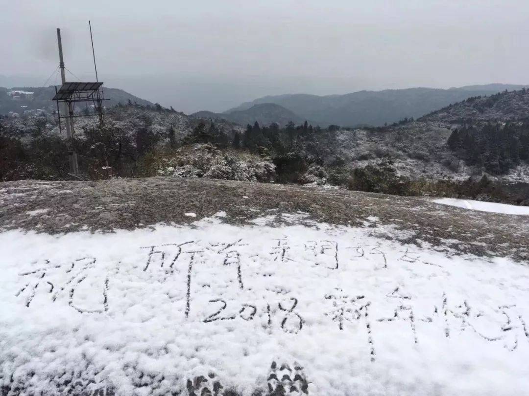 时隔三年,鼓岭再下雪!雪景比朋友圈好看,还有好消息!