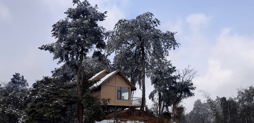 美翻了雪后的合江金龙湖玉兰山美得像童话世界