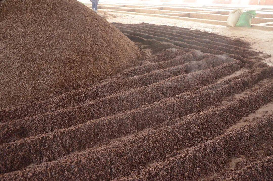 冬天酿酒车间的粮山雾海简直美醉了