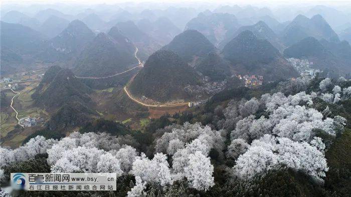 樂業,隆林出現霧凇美景,宛如仙境_百色