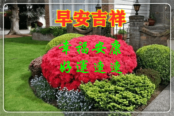600_400gif 动态图 动图
