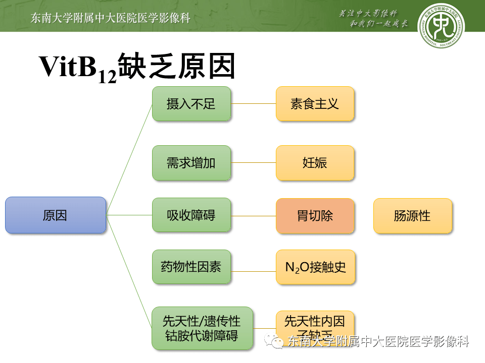 脊髓亚急性联合变性