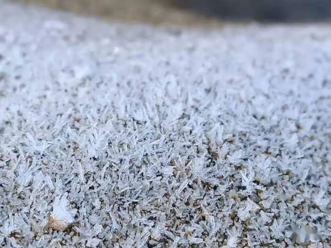 落霜了陆丰某地白花花一片