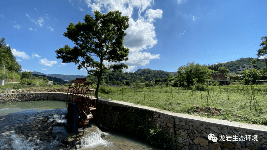 坎市鎮新羅村,龍潭鎮楓林村永定區(3個)新羅區白沙鎮南卓村新羅區小池