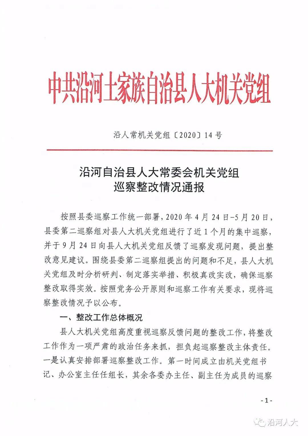 沿河自治县人大常委会机关党组巡察整改情况通报