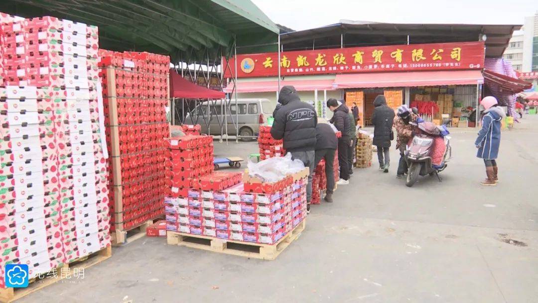 云南蔬菜批发：解锁绿色健康的秘密