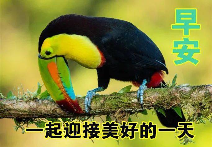 2021早上好问候表情语,温馨早安问候语动态图片表情