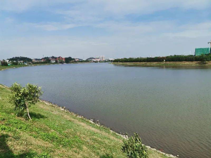 创新巡河方式东城河湖管护见实效