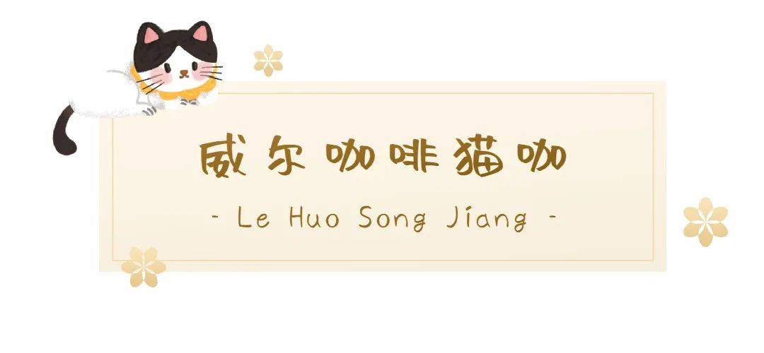 与其他猫咖不同的是威尔猫咖可以体验vr实现视觉与触觉的双重享受虽然