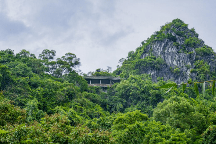 愿风吹我到钦州!揽一线滨海风光,体验历史人文之美 | 冬游广西