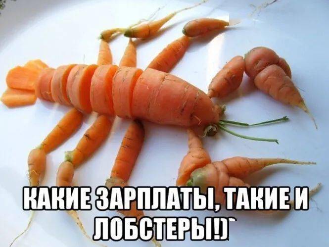 头给我笑掉这波俄罗斯表情包还请收下