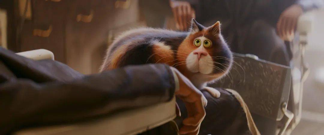 走出理发店的那一刻,成为猫的乔伊第一次发现原来自己从未了解过别人