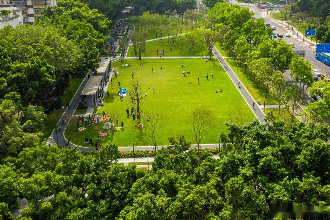 家门口铺"巨毯",上步绿廊公园"上线"!