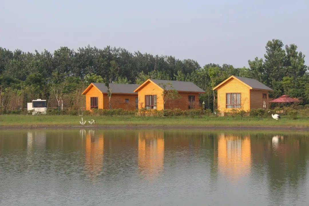 绿洲生态旅游区河横村踏进东罗村,祁巷村,河横村,溱湖绿洲等秀美田园