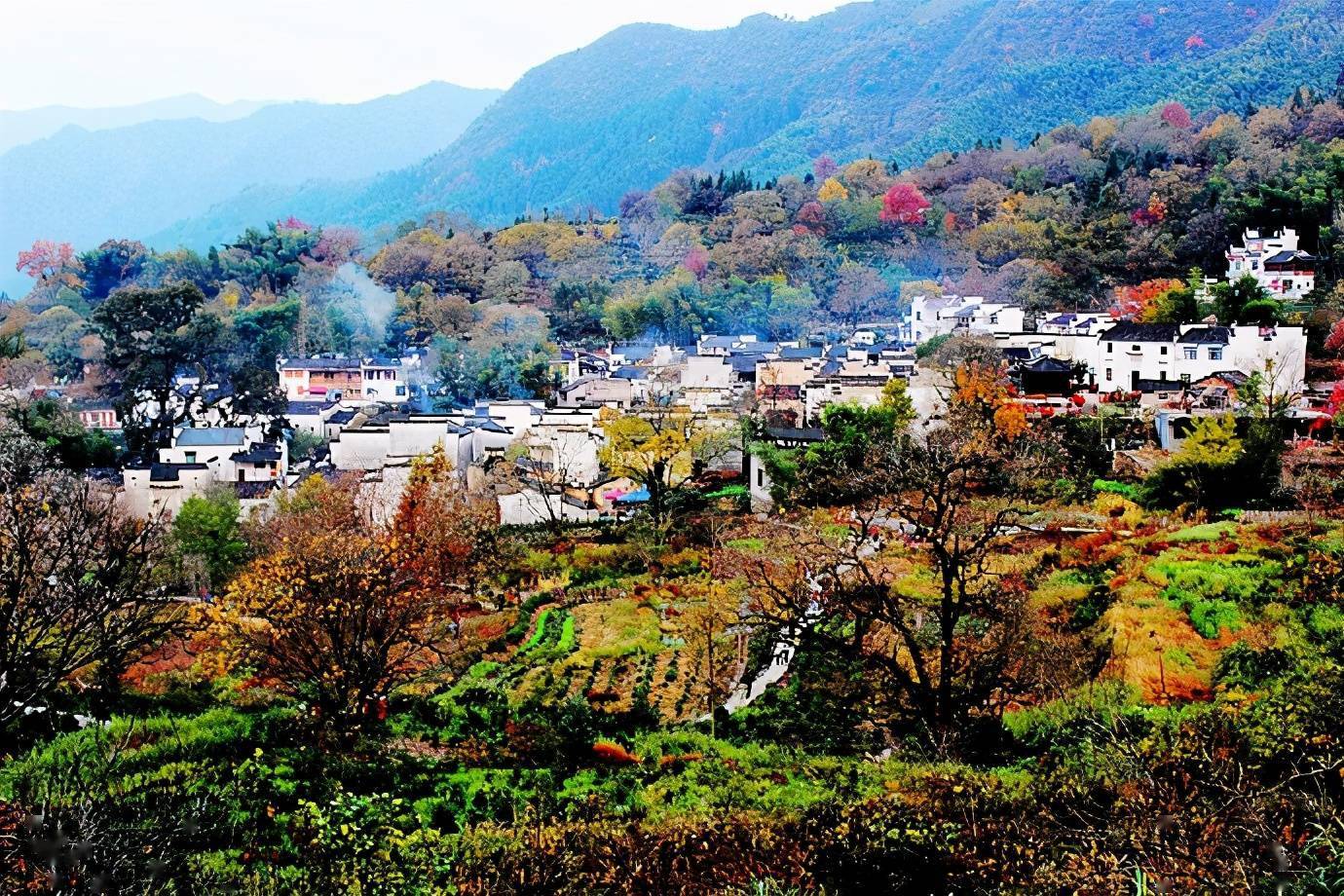 秋天村庄的景色图片