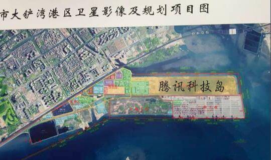 腾讯企鹅岛方案大变化大铲湾码头调走了变湿地公园