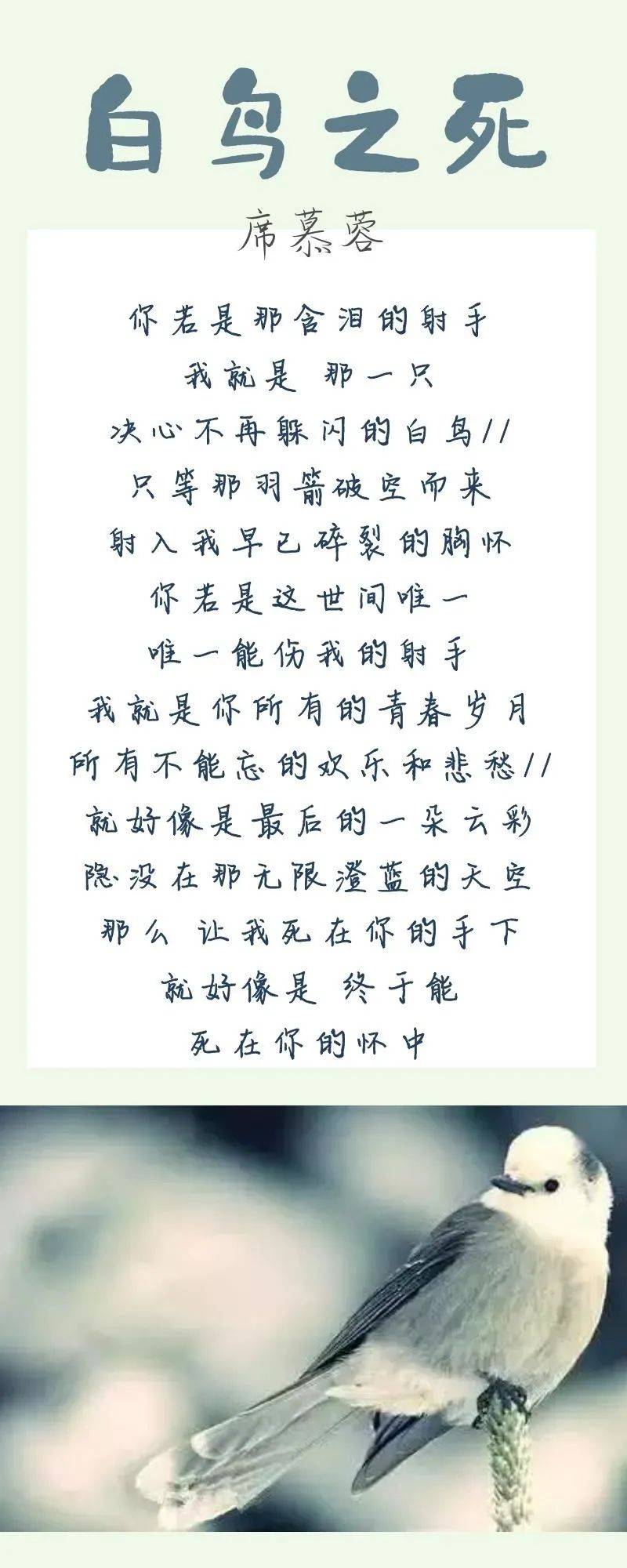 《白鸟之死》是现代诗人席慕蓉于1983年1月1日创作的一首现代诗歌.